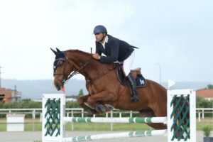 Miguel Alves horses